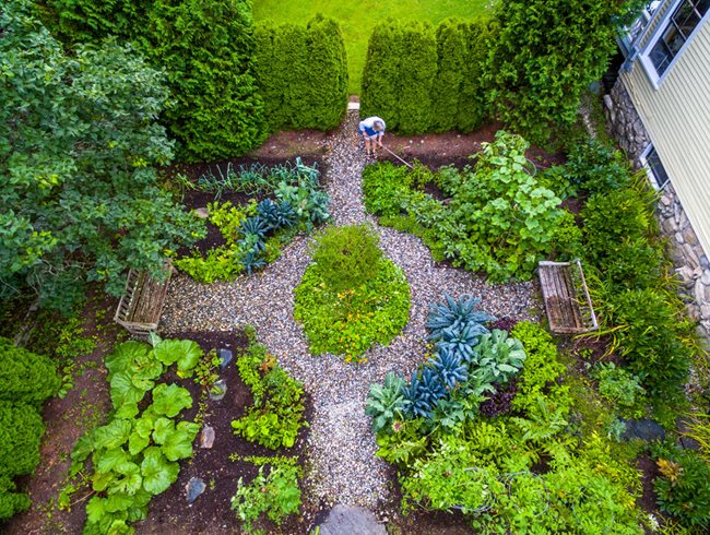 small-garden-vegetable-garden-ellen-ecker-ogden_13071.jpg